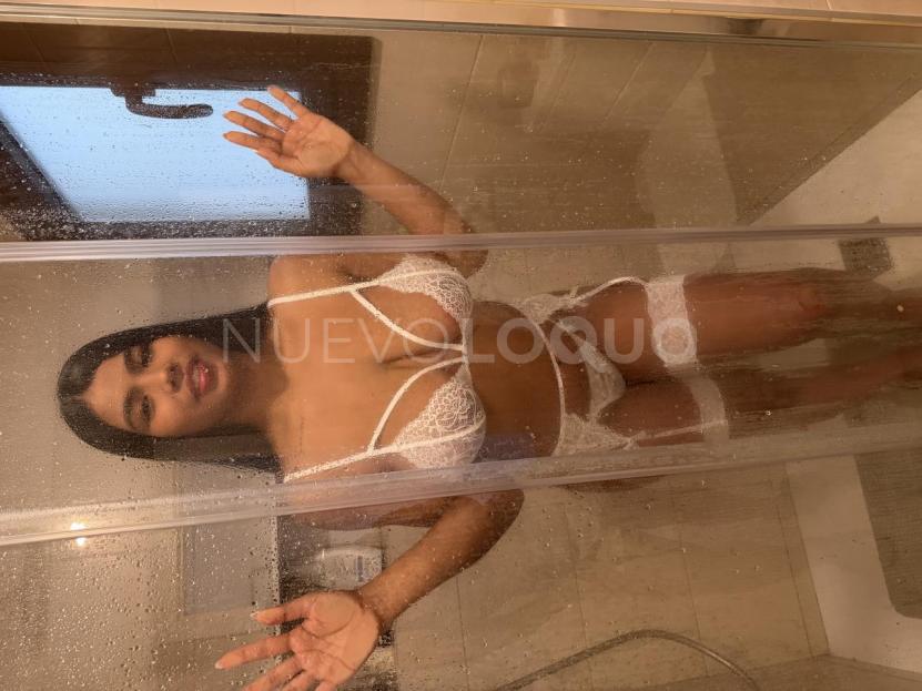 NuevoLoquo1