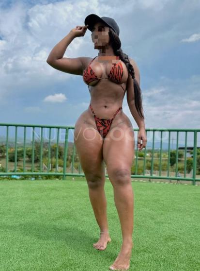 NuevoLoquo3