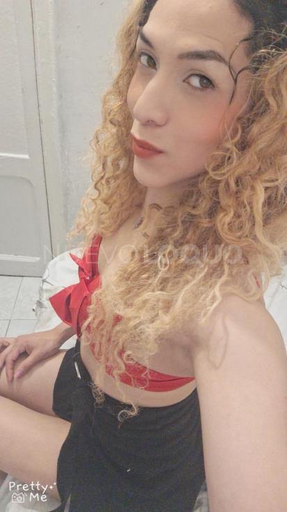 NuevoLoquo2