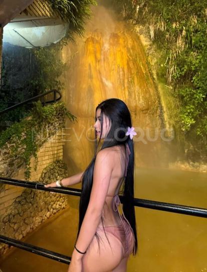NuevoLoquo2