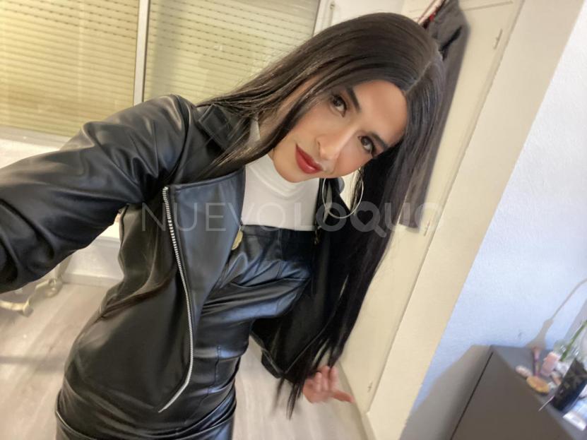 NuevoLoquo1