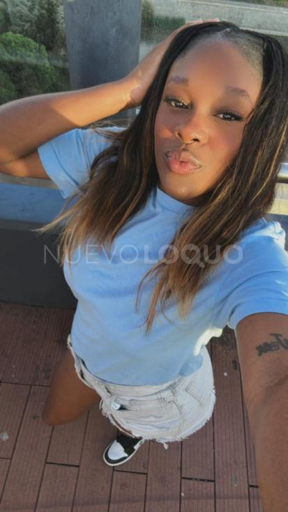 NuevoLoquo2