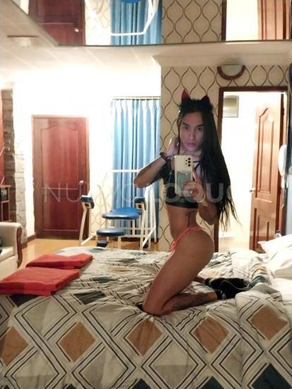 NuevoLoquo3