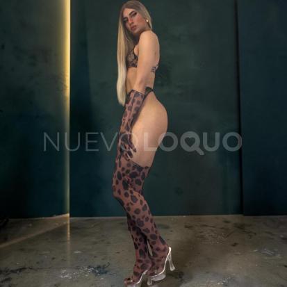 NuevoLoquo4