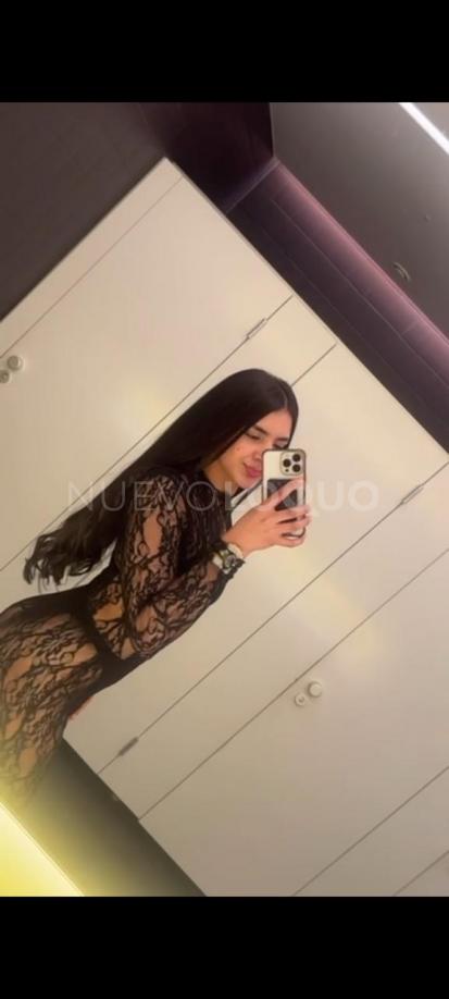 NuevoLoquo5