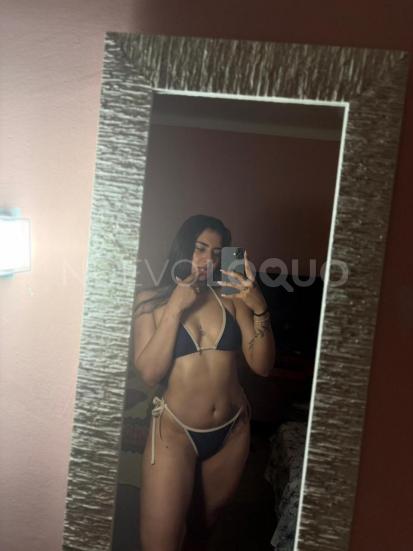 NuevoLoquo3