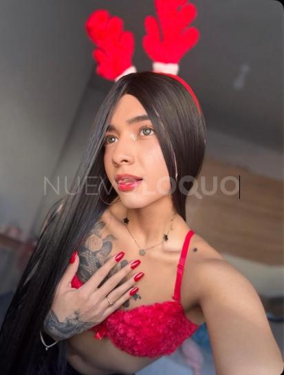 NuevoLoquo5