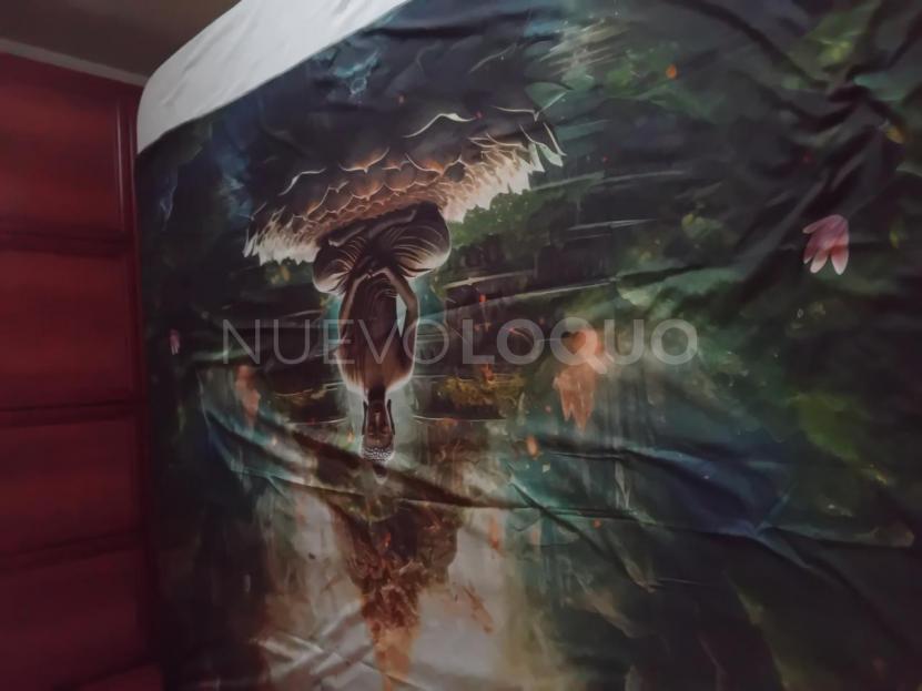 NuevoLoquo2