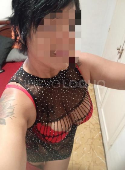 NuevoLoquo1