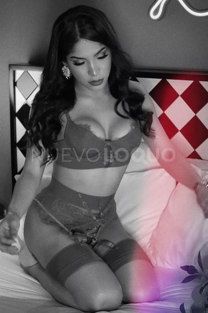 NuevoLoquo1
