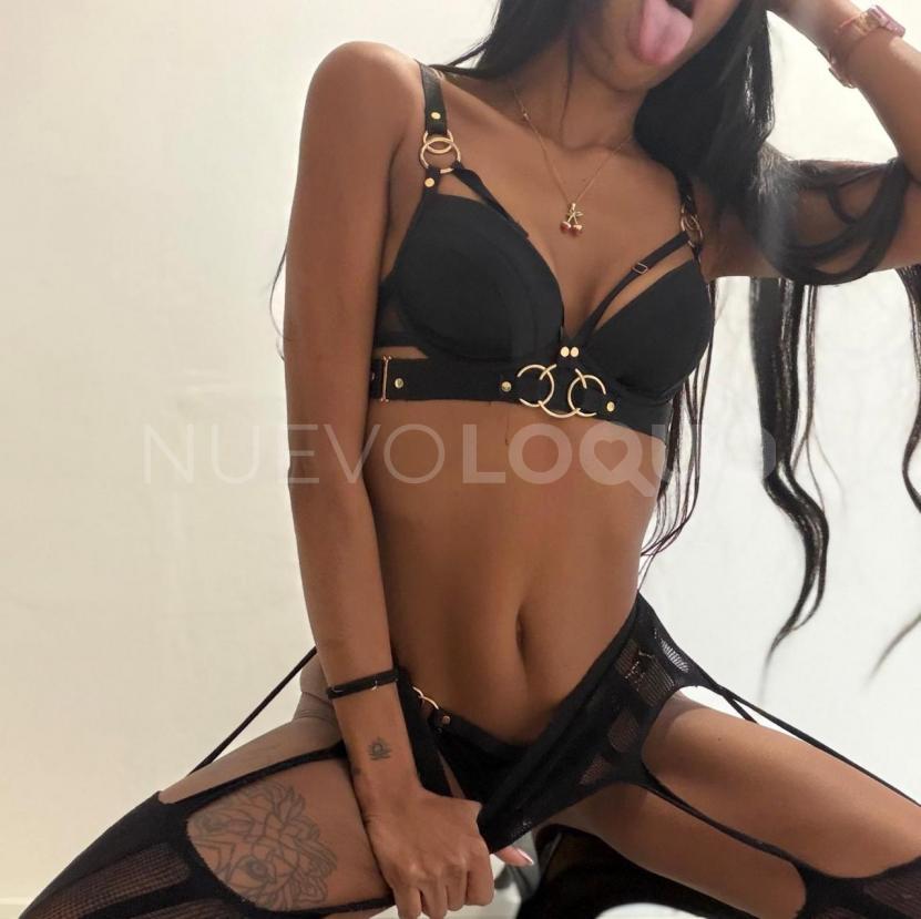 NuevoLoquo3