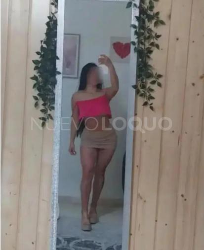 NuevoLoquo2