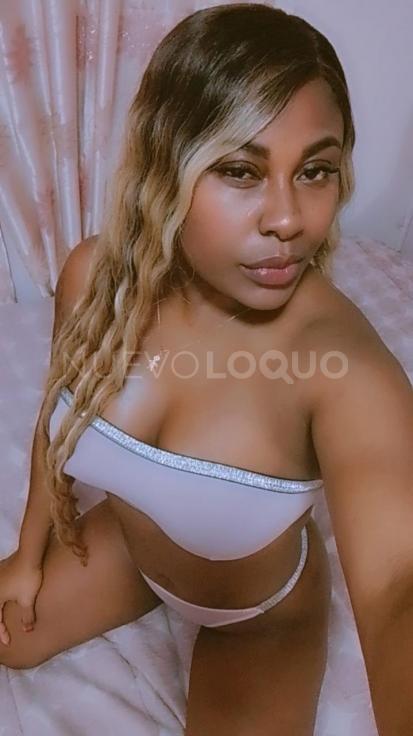NuevoLoquo5