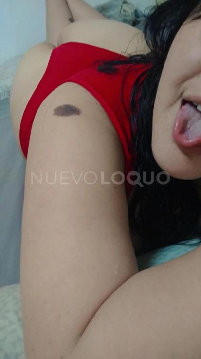 NuevoLoquo5