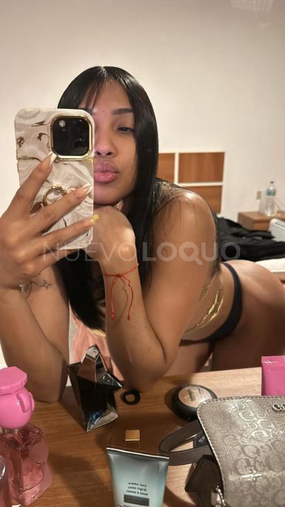 NuevoLoquo3