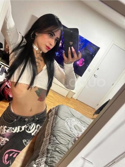 NuevoLoquo3