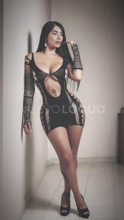 NuevoLoquo3