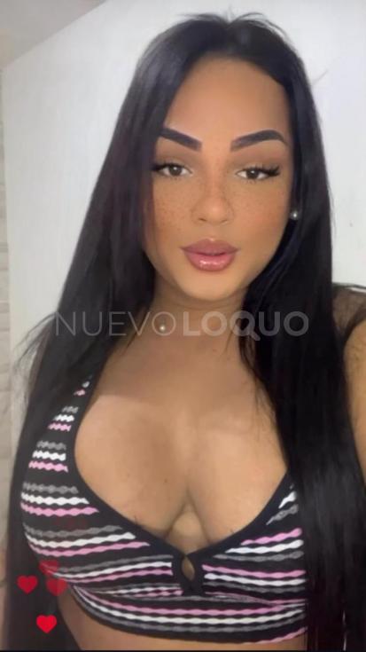 NuevoLoquo3