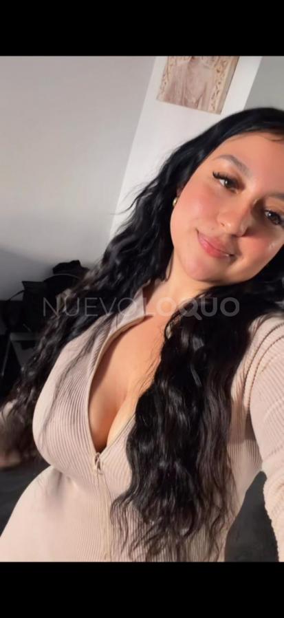 NuevoLoquo3