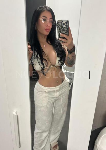 NuevoLoquo3