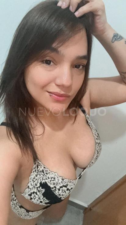 NuevoLoquo3