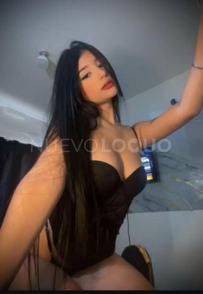 NuevoLoquo1