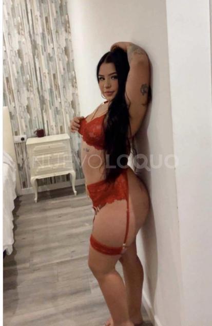 NuevoLoquo2