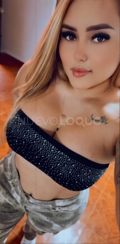 NuevoLoquo3