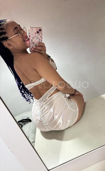 NuevoLoquo4
