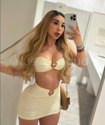 NuevoLoquo2