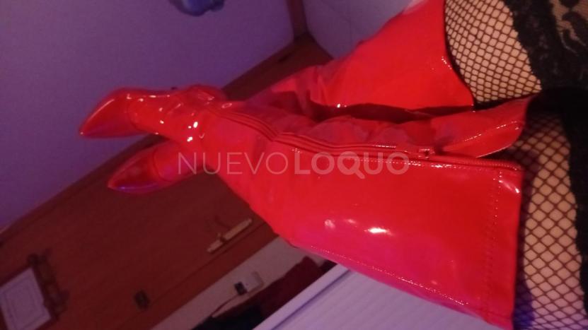 NuevoLoquo1