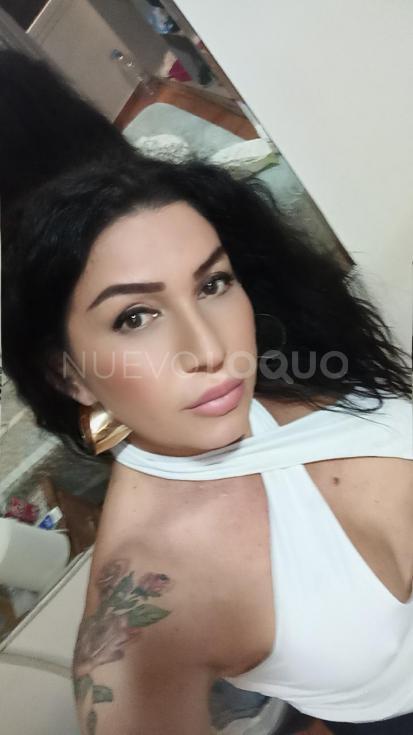 NuevoLoquo3
