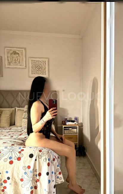 NuevoLoquo3