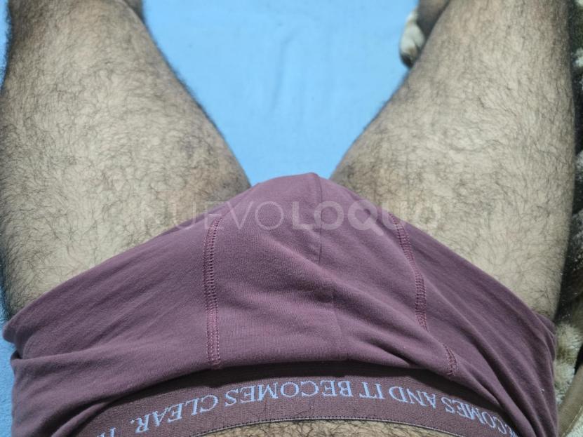NuevoLoquo2
