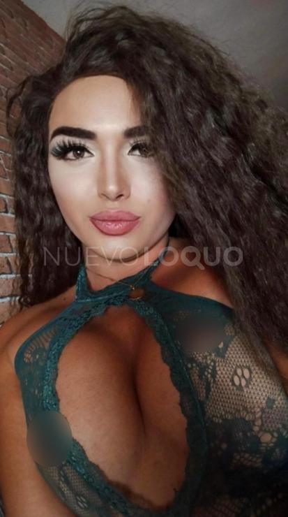 NuevoLoquo3