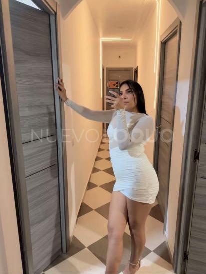 NuevoLoquo2
