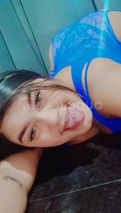 NuevoLoquo2