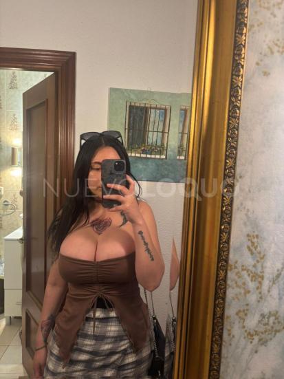 NuevoLoquo3