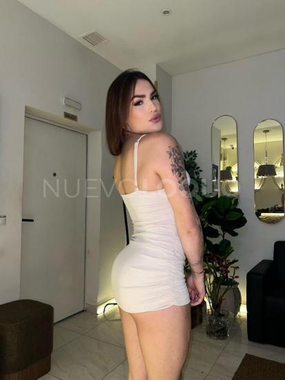 NuevoLoquo5