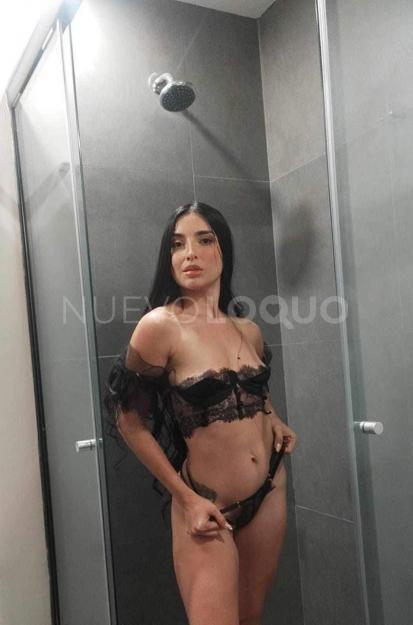NuevoLoquo5