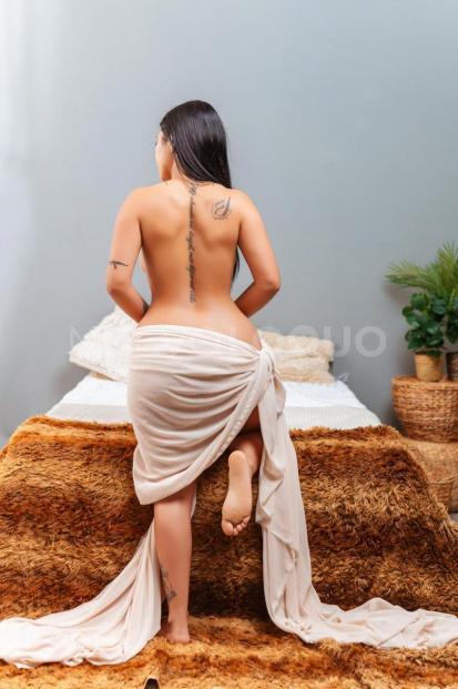 NuevoLoquo2