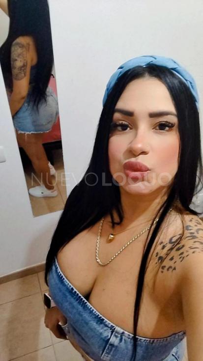 NuevoLoquo2