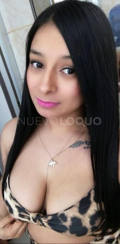 NuevoLoquo1
