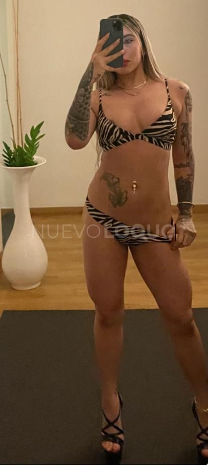NuevoLoquo5