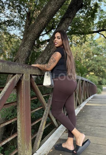 NuevoLoquo1