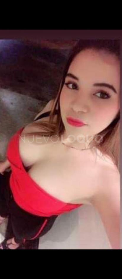 NuevoLoquo1