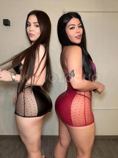 NuevoLoquo5