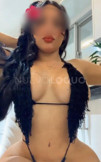 NuevoLoquo3