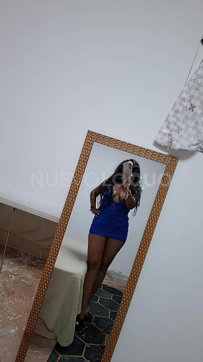 NuevoLoquo3