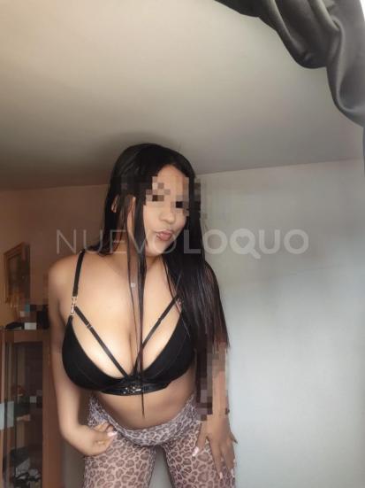 NuevoLoquo1